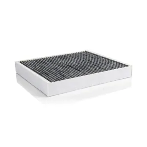 Cabin Filter M10770165 Cabin Filter M10770165