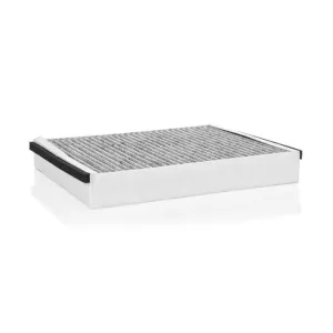 Cabin Filter M10770095
