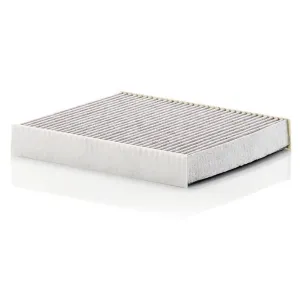 Cabin Filter M10770084