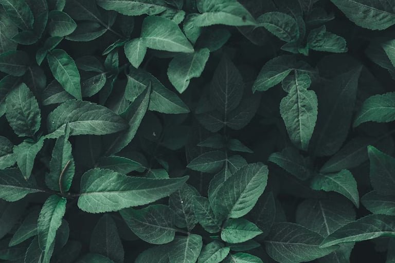 Eco-Friendly Filter Media Gains Traction in U.S. Manufacturing