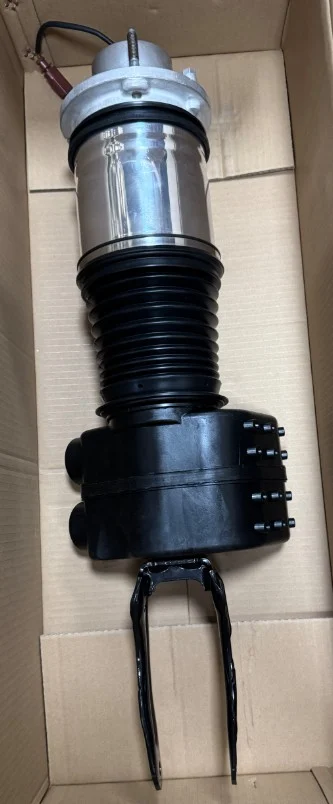 Air Suspension Strut M20200005