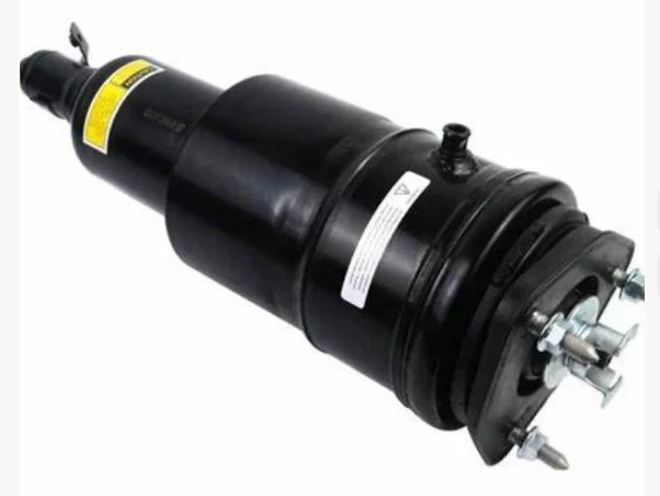 Air Suspension Strut M20200007 Air Suspension Strut M20200007
