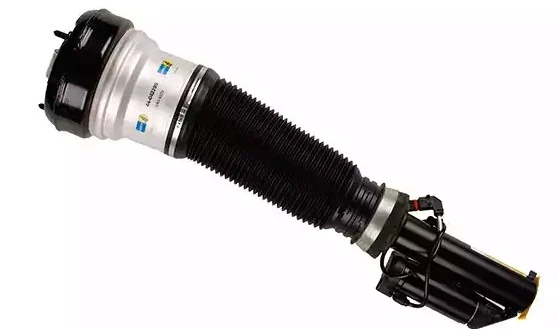 Air Suspension Strut M20200011