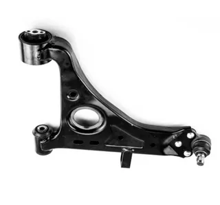 Control Arm M20100020