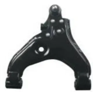 Control Arm M20100028