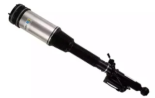 Air Suspension Strut M20200004