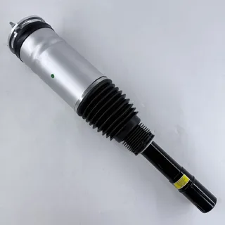 Air Suspension Strut M20200002